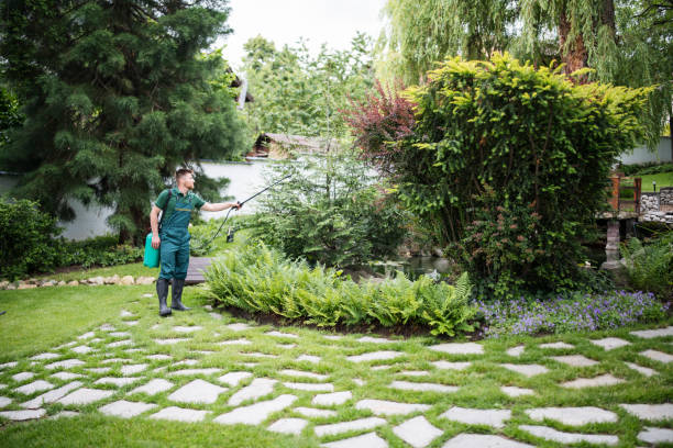 Best Exterminator Services  in Huntington Park, CA