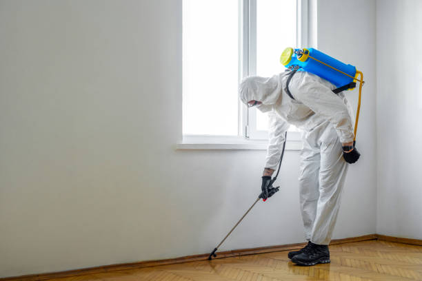 Best Termite Control Services  in Huntington Park, CA