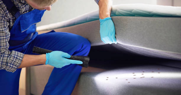 Best Pest Control Treatment  in Huntington Park, CA