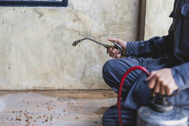 Best Pest Removal Services  in Huntington Park, CA