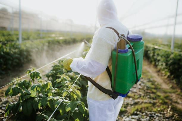 Best Commercial Pest Control Services  in Huntington Park, CA